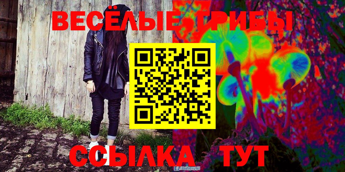 Галлюциногенные грибы ЛСД Звенигород
