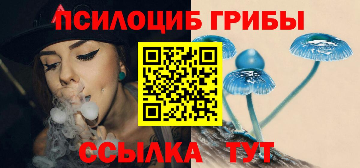 Галлюциногенные грибы мицелий  Вход с VPN  Псилоцибиновые грибы MAGIC MUSHROOMS  Звенигород 